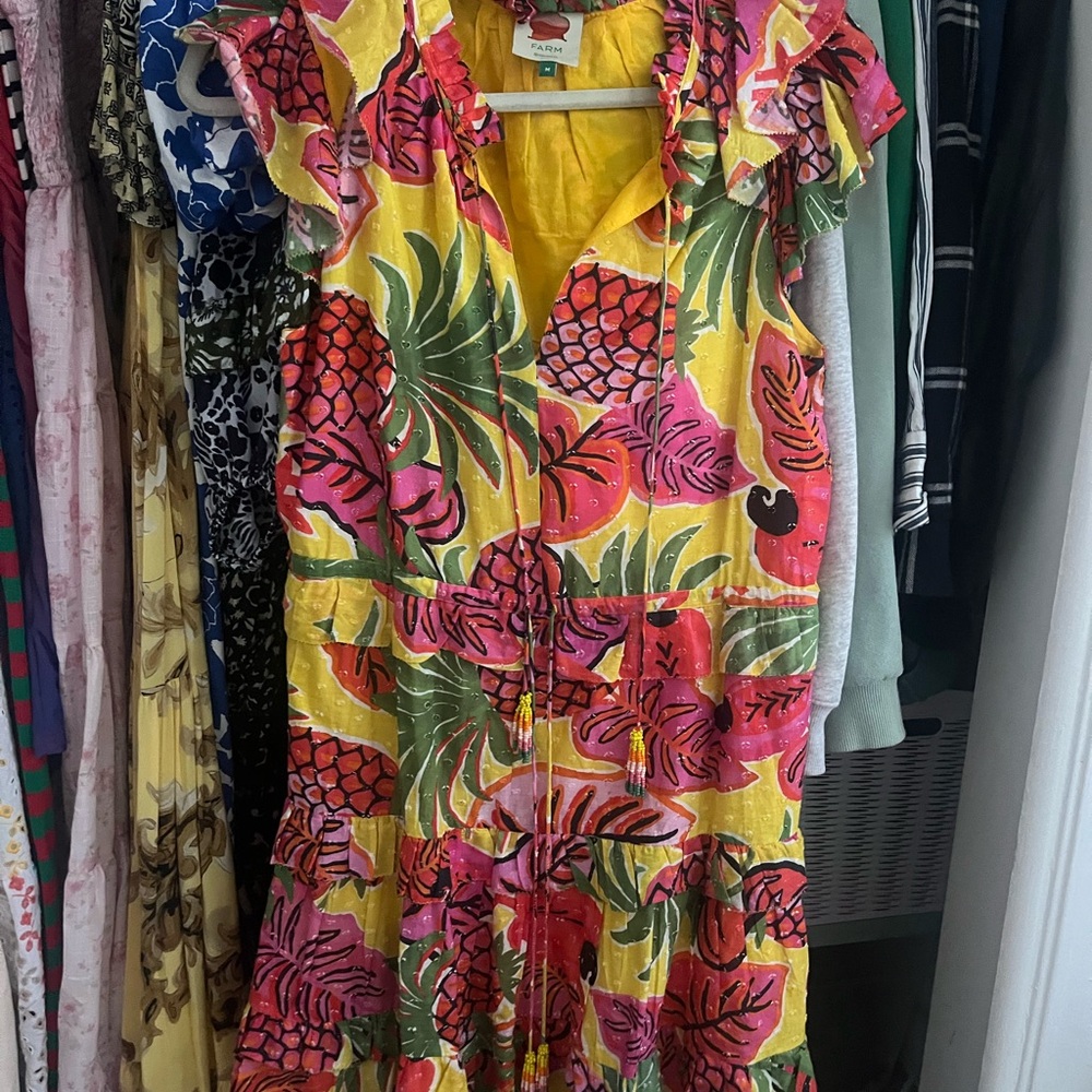 Farm Rio Dress - Picture 3 of 5